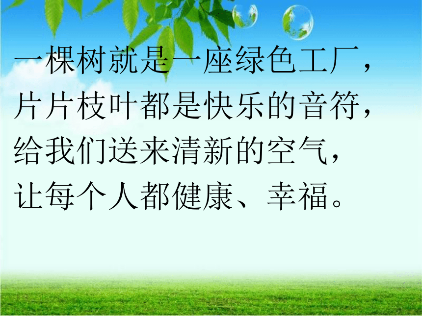 《我们去植树》PPT课件