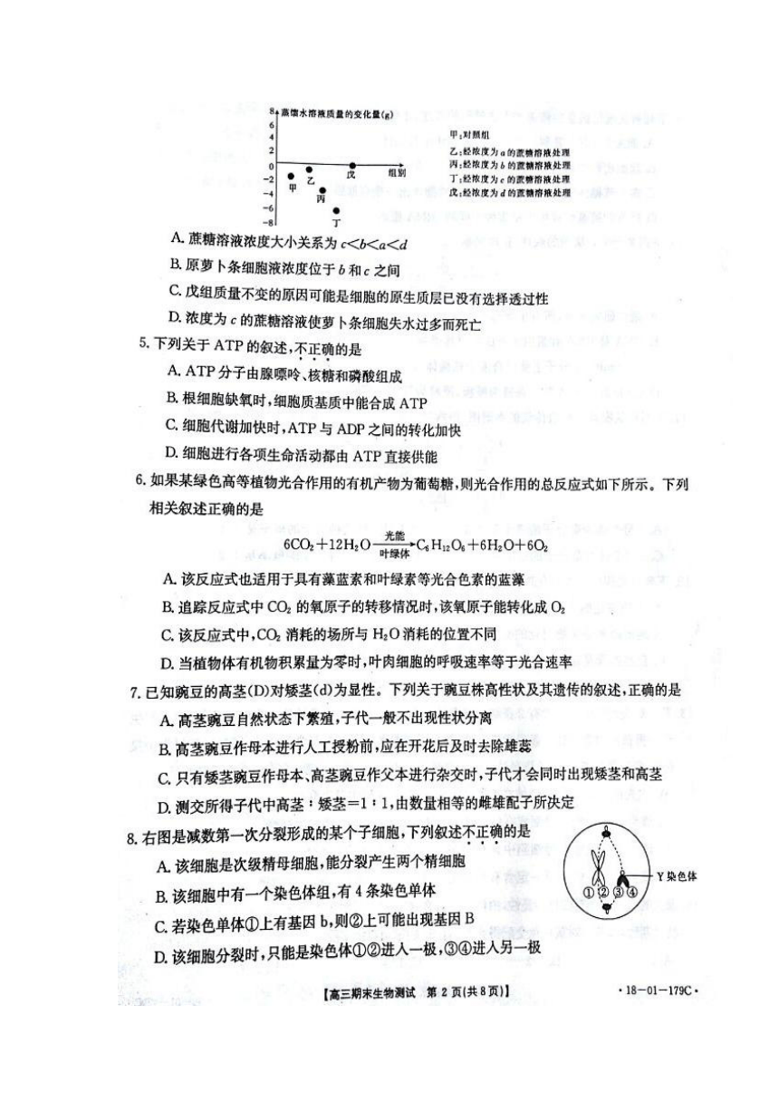 山东省济南市2018届高三上学期期末考试生物试题 扫描版含答案
