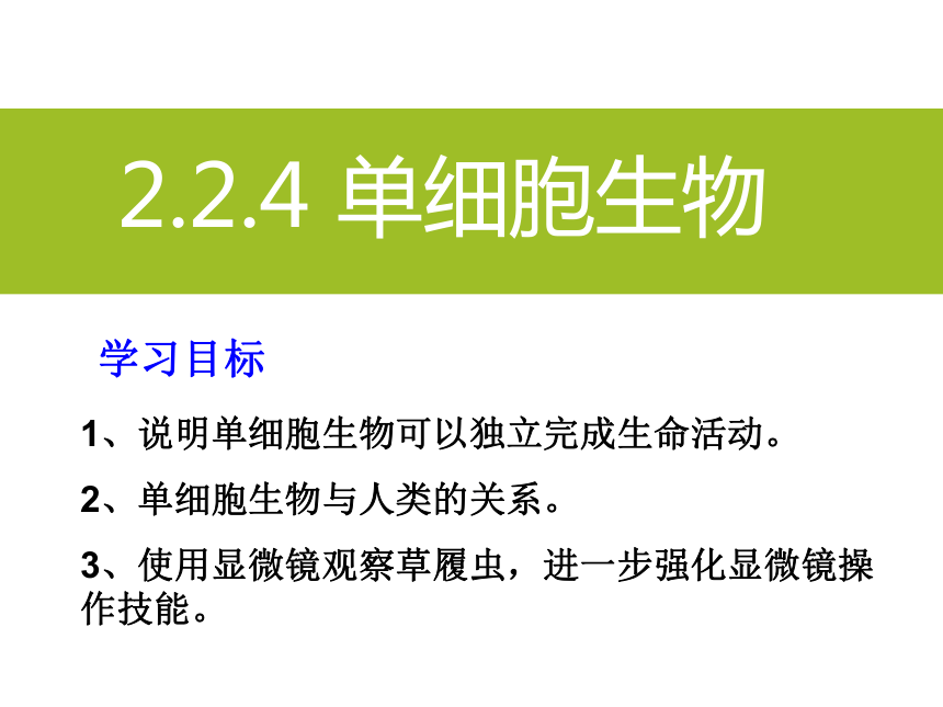 2021--2022学年人教版生物七年级上册2.2.4 单细胞生物  课件(共38张PPT)