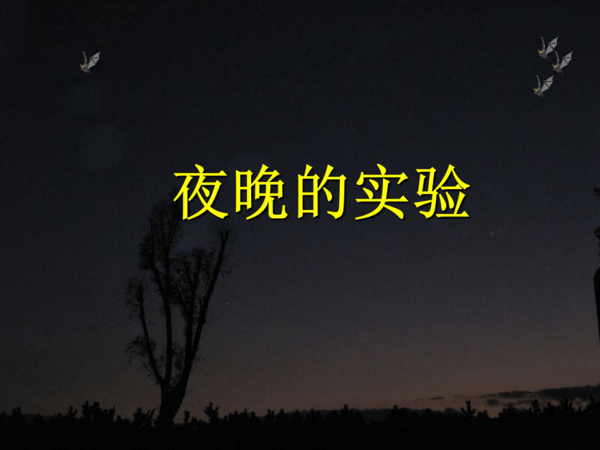 《夜晚的实验》课件