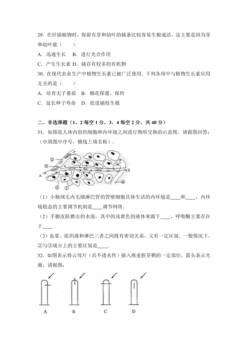 河南省周口市中英文学校2016-2017学年高二（上）期中生物试卷（解析版）