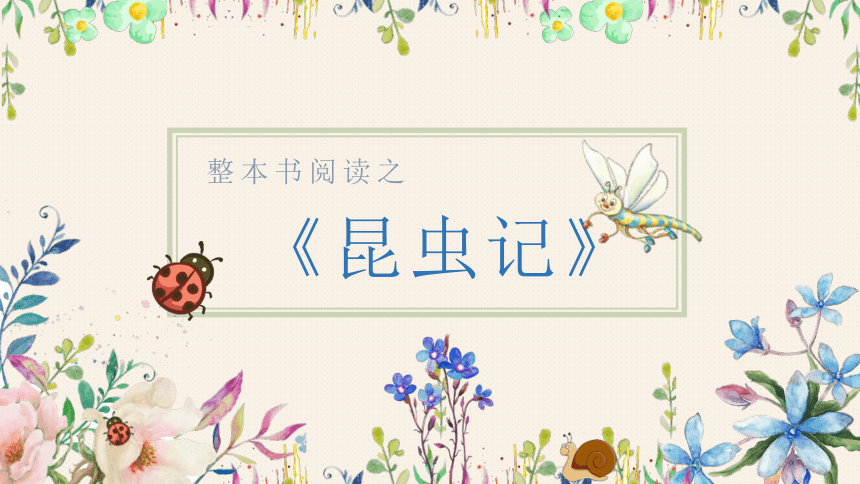 课件预览