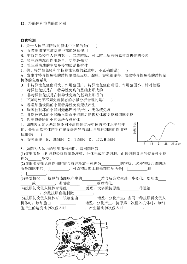 2.4 免疫调节 学案（含答案）