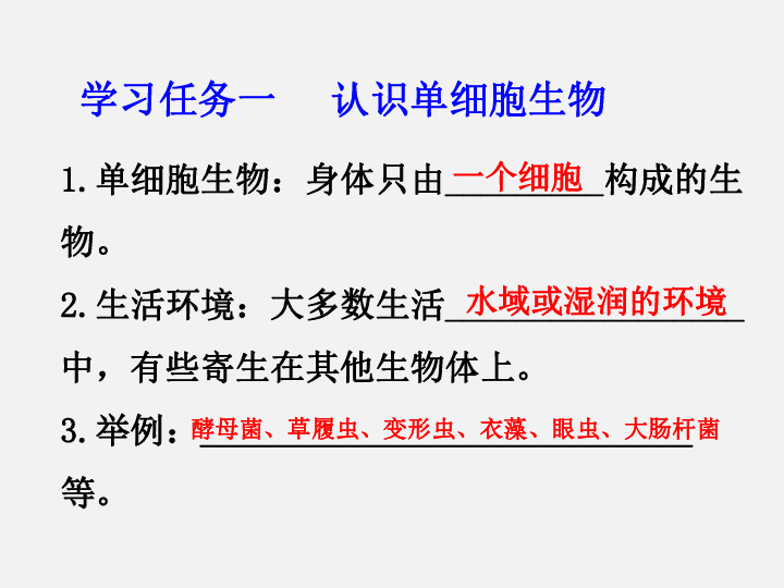 人教版七年上册2.4单细胞生物课件（27张ppt)