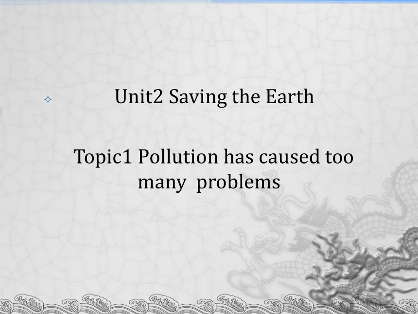 Unit2 Topic1 Pollution Has Caused Too Many Problems.SectionC 课件（18张）-21 ...