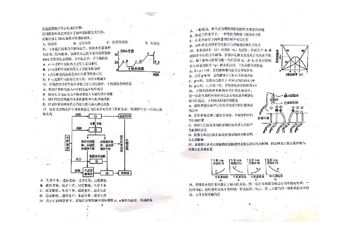 吉林省东北师大附中2018-2019学年第二学期高一生物期末试题（扫描版，含答案）