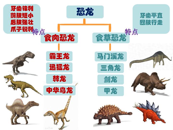 9恐龙世界课件16张幻灯片