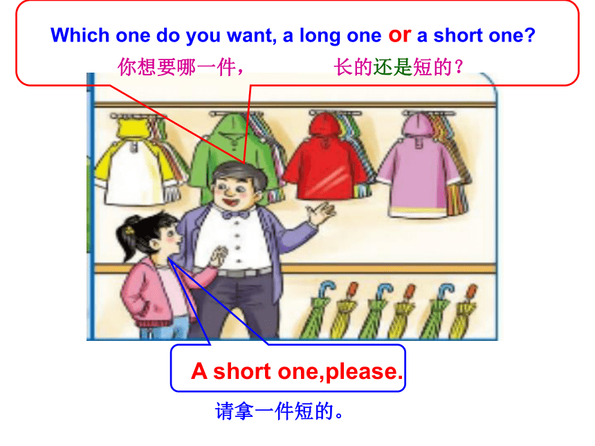 Unit 6 Which one do you want? 课件