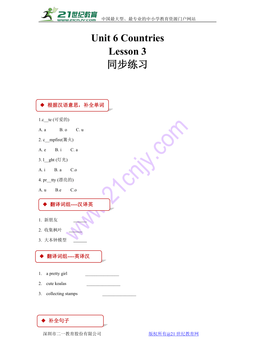 Unit 6 Countries Lesson 3 同步练习（含答案）