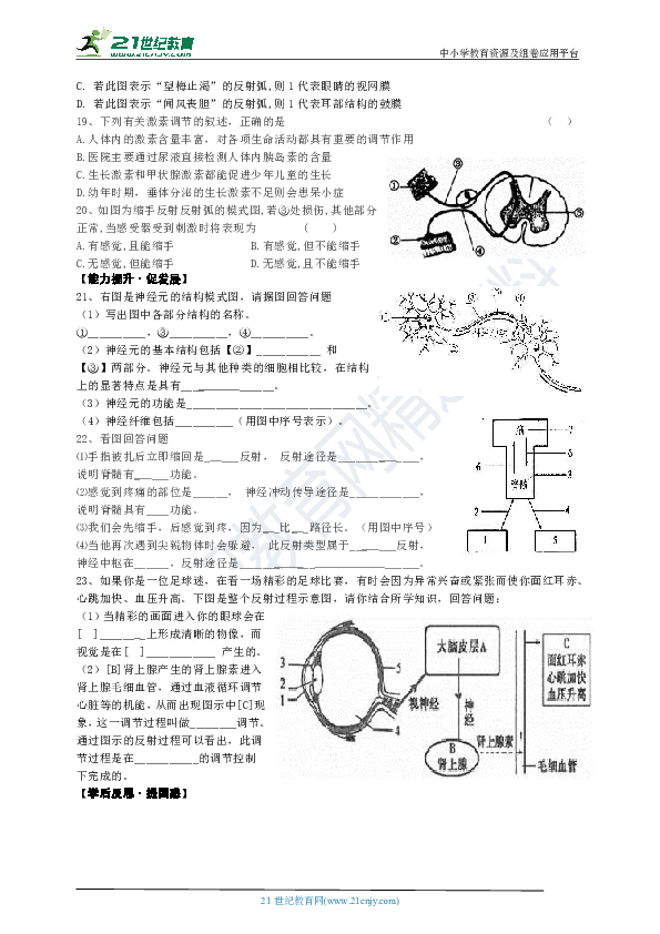 人教版初中生物总复习 第四单元 第六章 导学案（含答案）