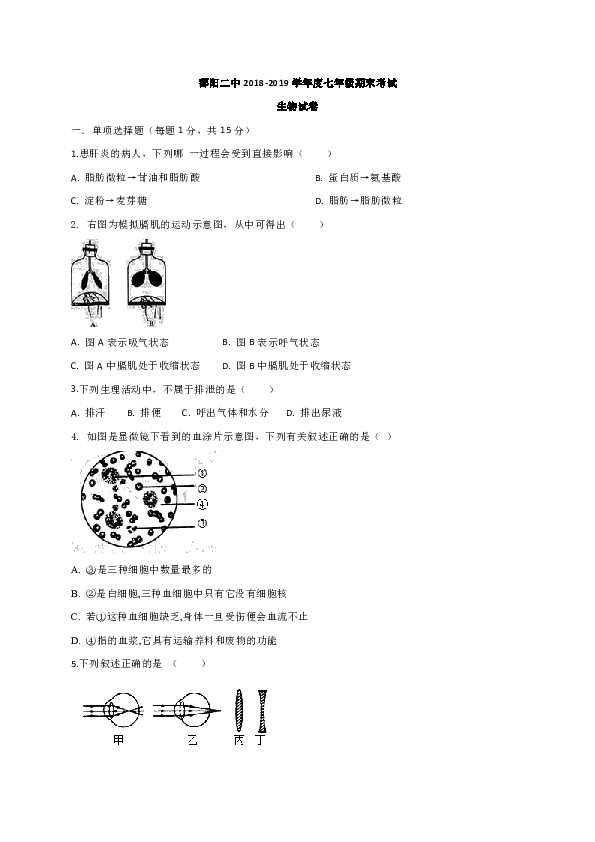 江西省鄱阳县第二中学2018-2019学年七年级下学期期末考试生物试题