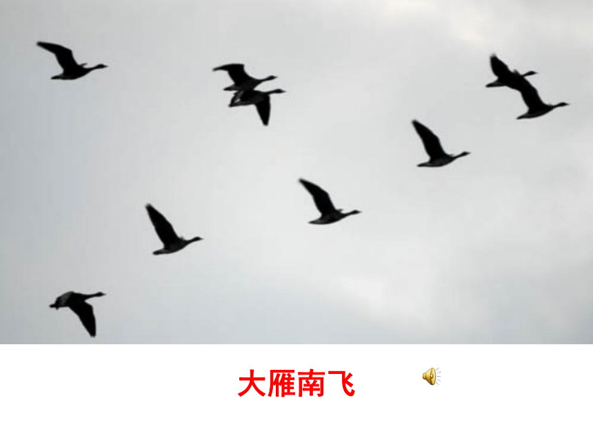 2018春北京版语文二年级下册第17课《大自然的语言》ppt课件1
