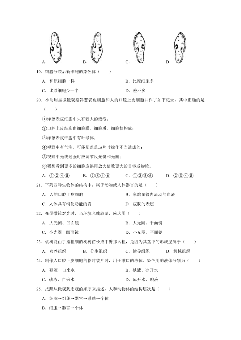 2020-2021学年安徽省滁州市定远县七年级（上）期中生物试卷（Word版含解析）