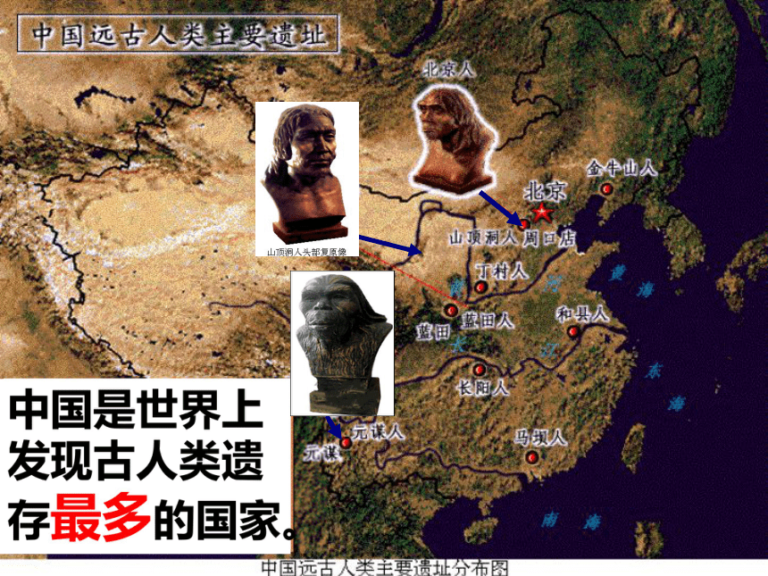 人教版新版七上第1课 中国早期人类的代表-北京人 课件（28张）