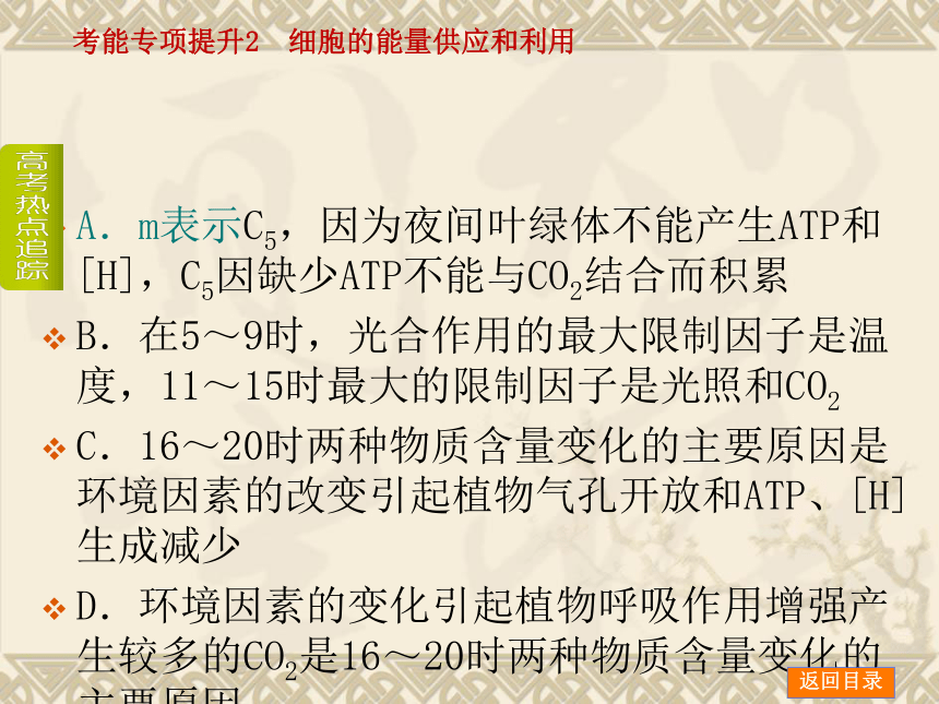 【新课标人教通用，一轮基础查漏补缺】考能专项提升2 细胞的能量供应和利用 （58ppt）