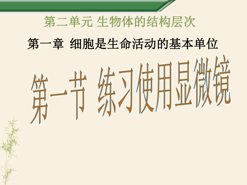 人教版七年级生物上册课件2.1.1 练习使用显微镜 （共36张PPT）