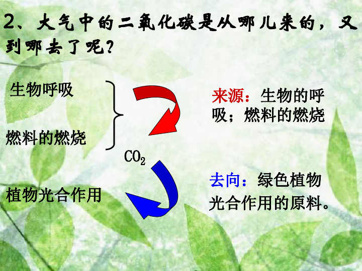 苏教版七上生物 7.2 绿色植物与生物圈的物质循环 课件（共25张PPT）