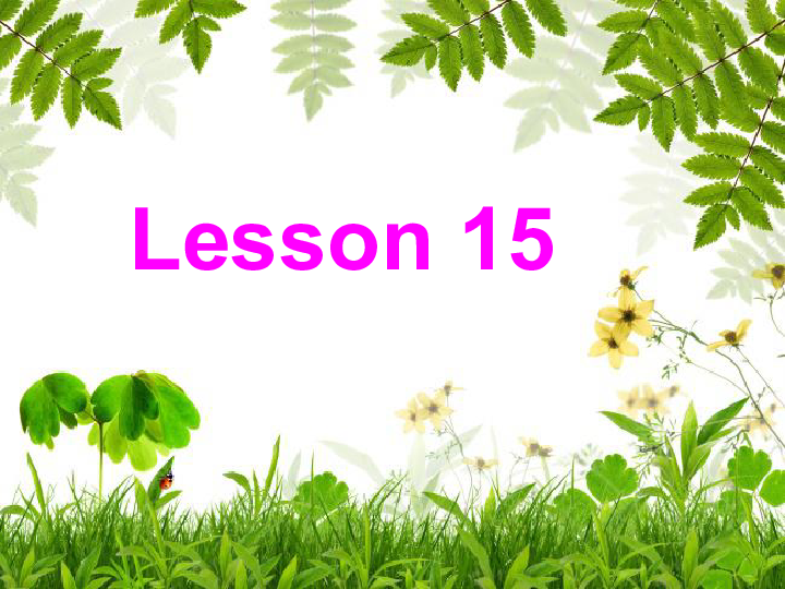 Unit3 We are going to travel.(Lesson15) 课件（22张PPT）