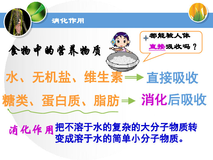 苏教版七下生物 9.2人体的消化与吸收 课件 (37张PPT)