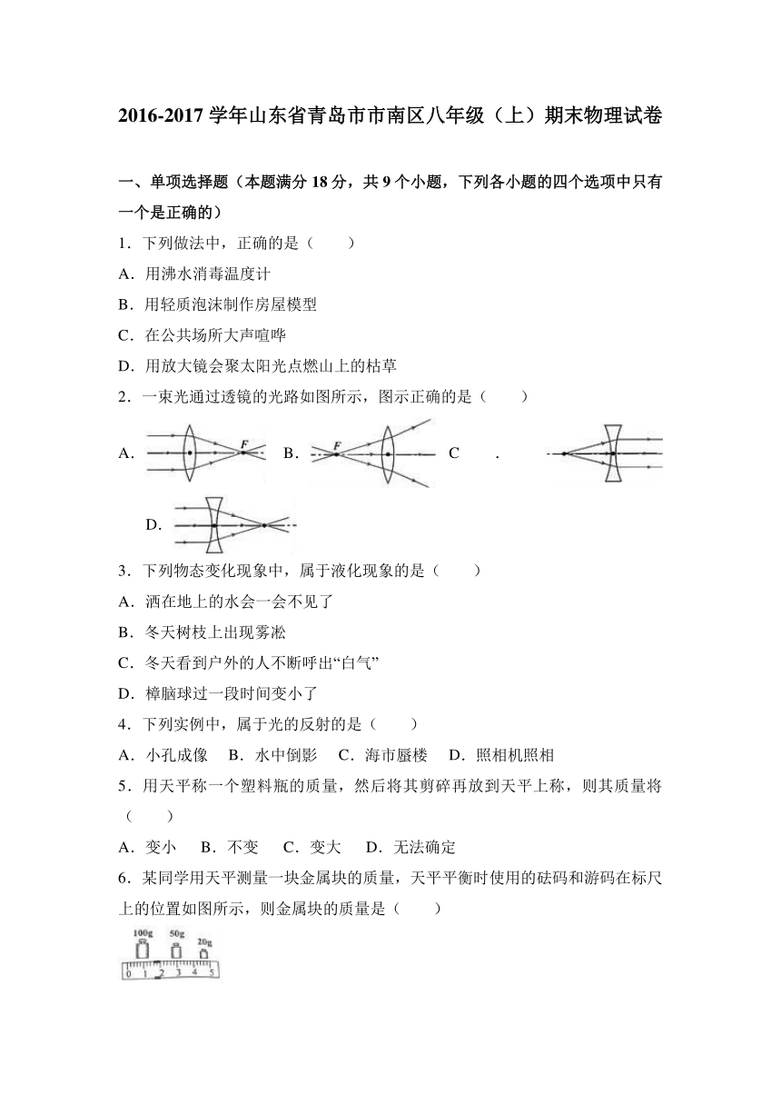 山东省青岛市市南区2016-2017学年八年级（上）期末物理试卷（解析版）