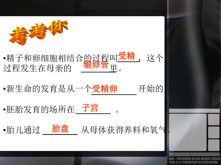 苏科版八年级上册生物 21.2人的个体发育 课件   (17张PPT)