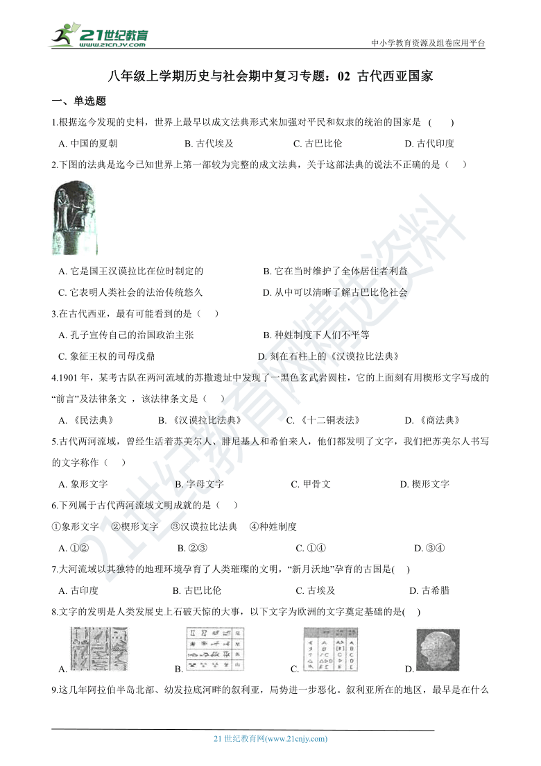 八年级上学期历史与社会期中复习专题：02 古代西亚国家 （含答案解析）