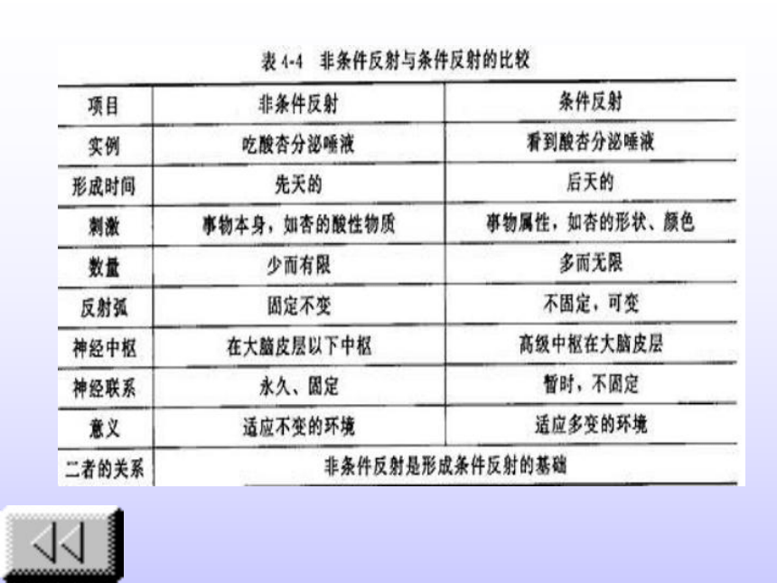 《人体的神经调节》教学课件1