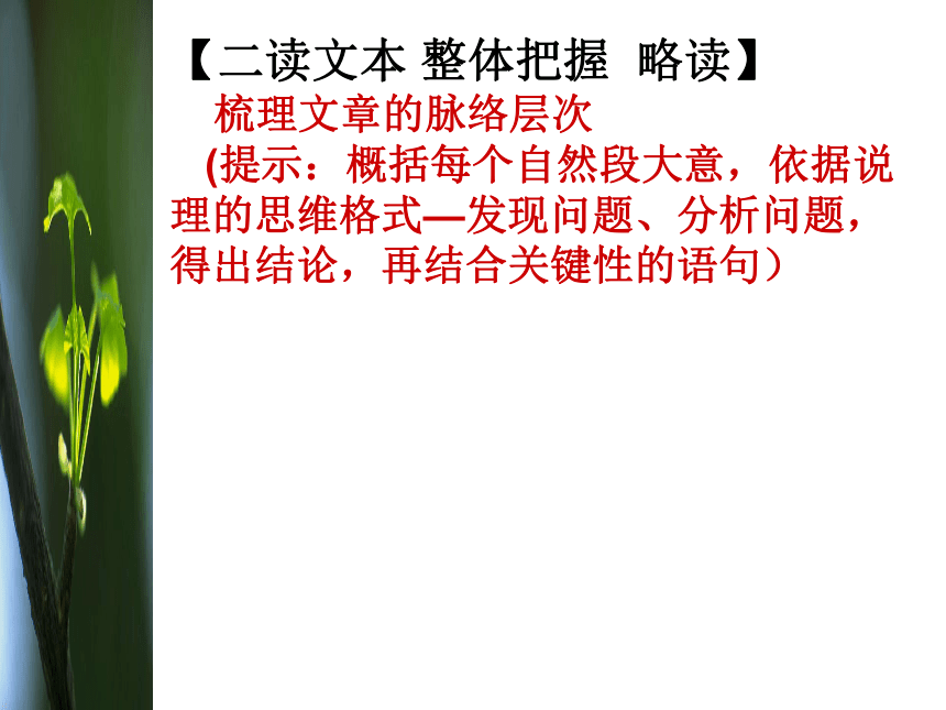 《说“木叶”》ppt（37张）