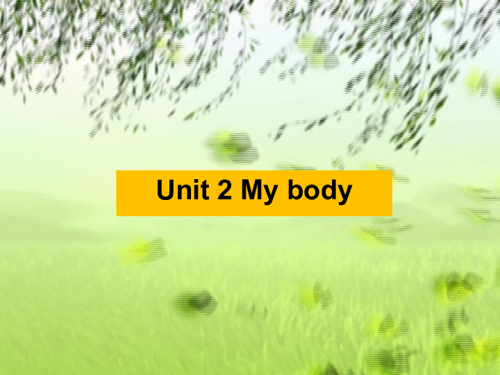 Unit 2 My Body Lesson 1 (共15张PPT)