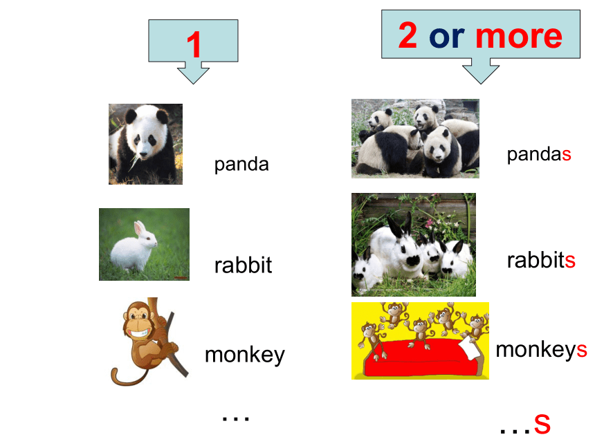 Unit 2 The short vowel sounds Lesson 8 课件