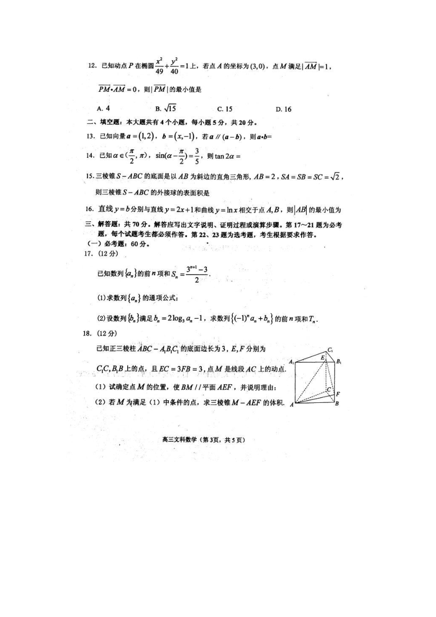 山东省烟台市招远二中2018届高三下学期高考诊断性测试数学（文）试卷（扫描版）