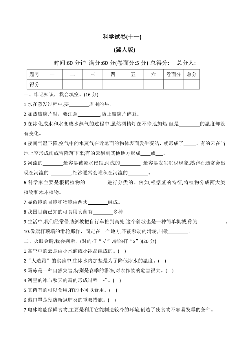 20212022学年五年级科学第二学期期末调研卷十一冀人版word版有答案