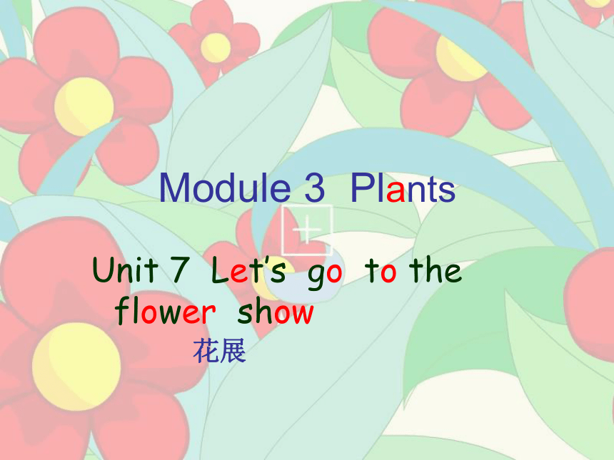 英语五年级上广州版《UNIT 7 Let’s Go to the Flower Show》课件2