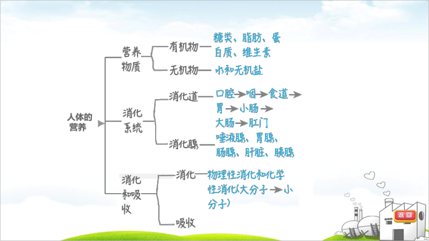 2022年福建中考生物考点突破第26课时生物圈中的人（41张PPT）