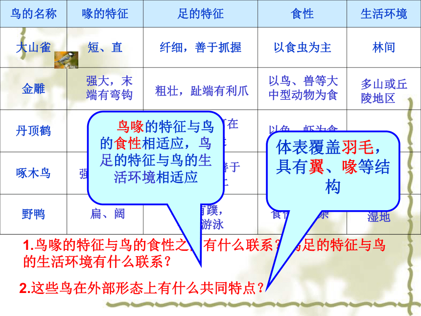 第六节 鸟 课件（共72张ppt)