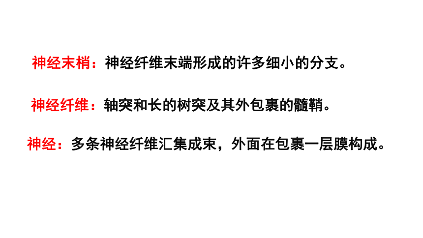 2021届高三生物一轮复习---通过神经系统的调节教学课件共74张PPT