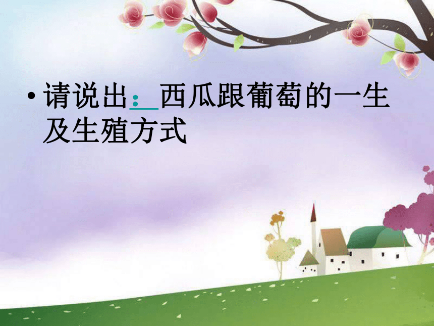 第2节植物的繁殖与发育