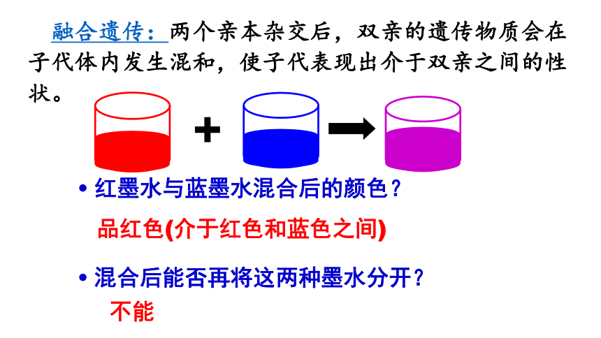 人教版高一生物必修二1.1孟德尔的豌豆杂交实验（一）课件（47张PPT）