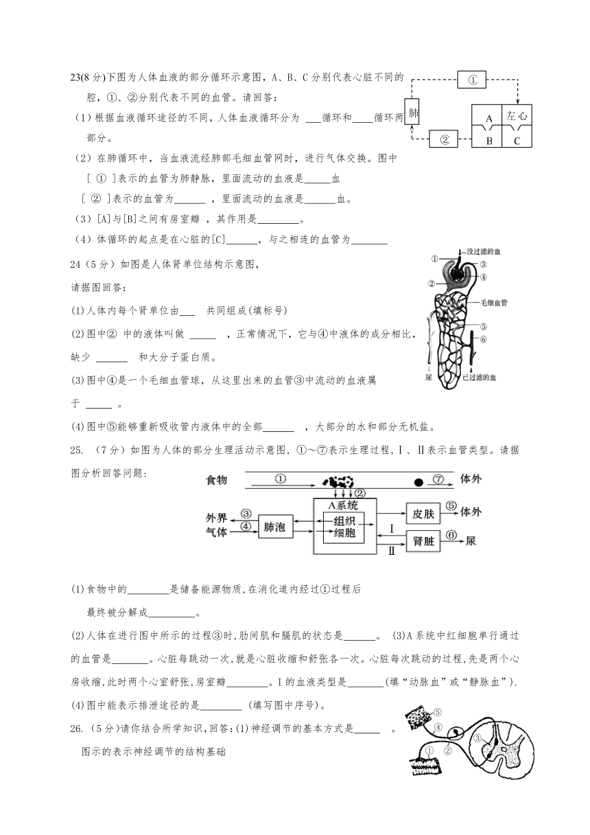 内蒙古鄂尔多斯市鄂托克旗2016-2017学年七年级下学期期末考试生物试题（含答案）