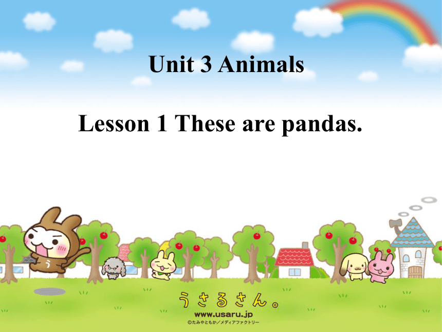 小学英语鲁科版（五四制）三年级下Unit 3 Lesson 1 These are pandas.课件