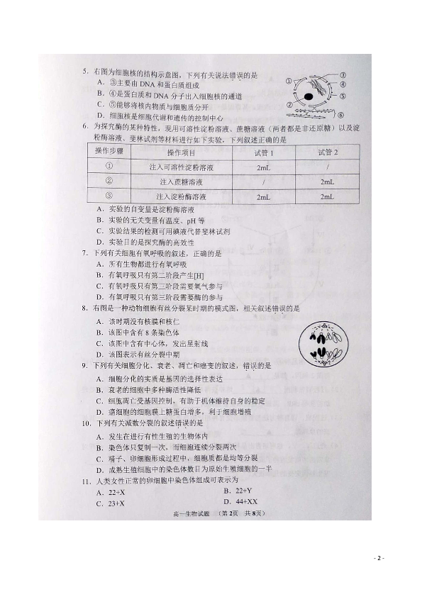 江苏省淮安市2018-2019学年高一下学期期末考试生物试题 扫描版