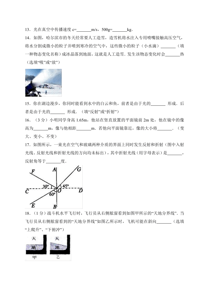 黑龙江省大庆市2017-2018学年八年级上学期期末考试物理试卷（解析版）