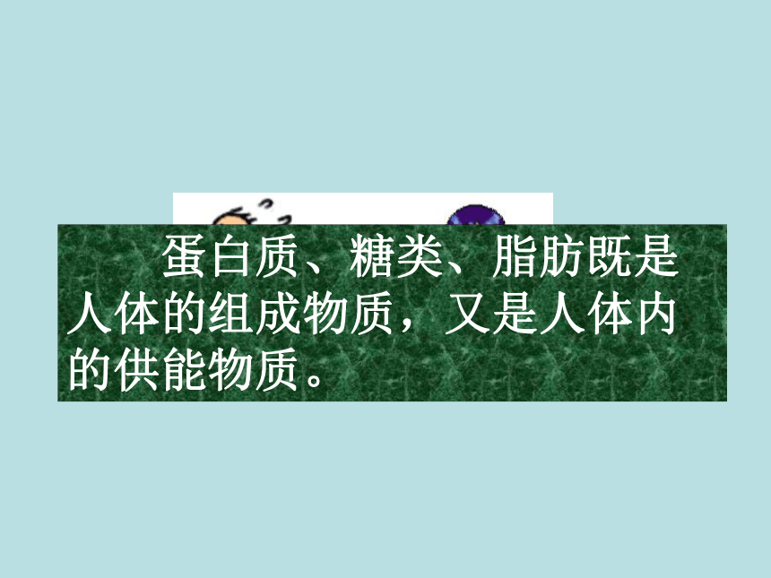 第一节 人体需要的主要营养物质 课件 (2)