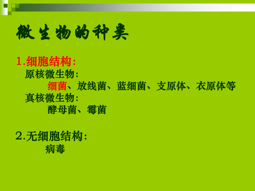 4　我研究的微生物 课件