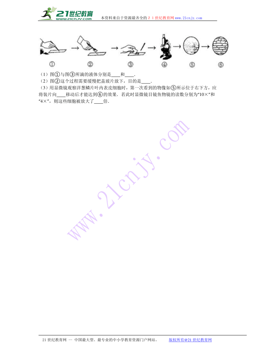 广西柳州市柳江县2016-2017学年七年级（上）期中生物试卷（解析版）