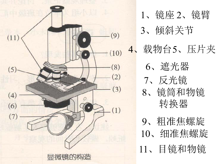 通光孔和遮光器图片