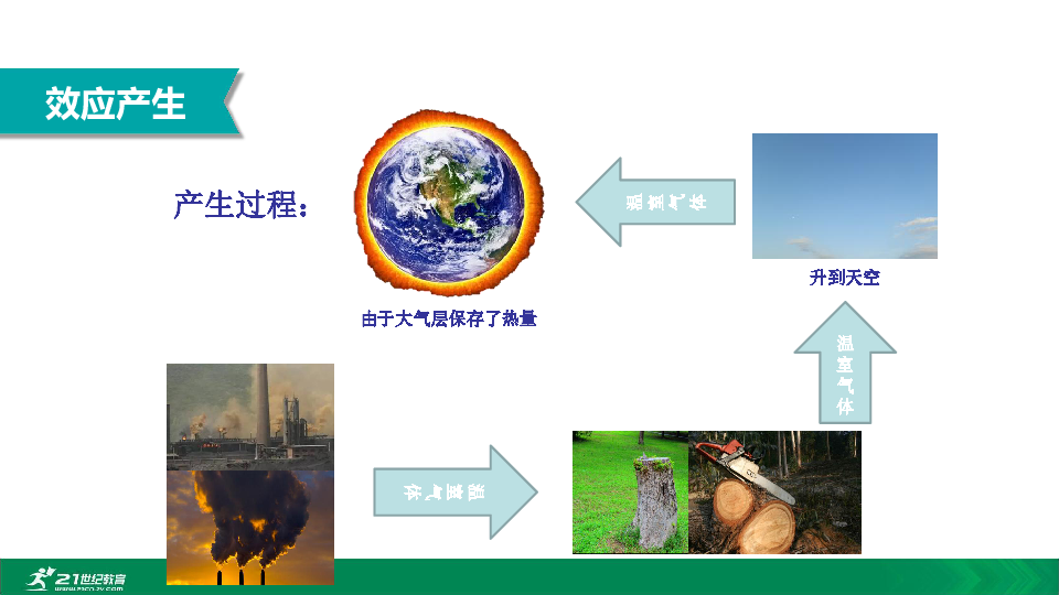 2020年春人教七下生物第七章第二節溫室效應教學課件