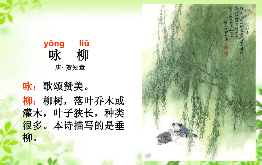 《咏柳》课件