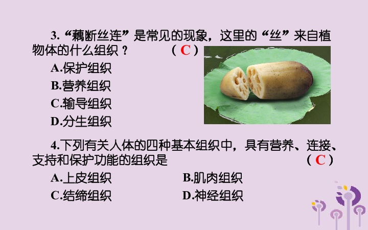 4.2生物体的器官、系统课件（22张PPT）