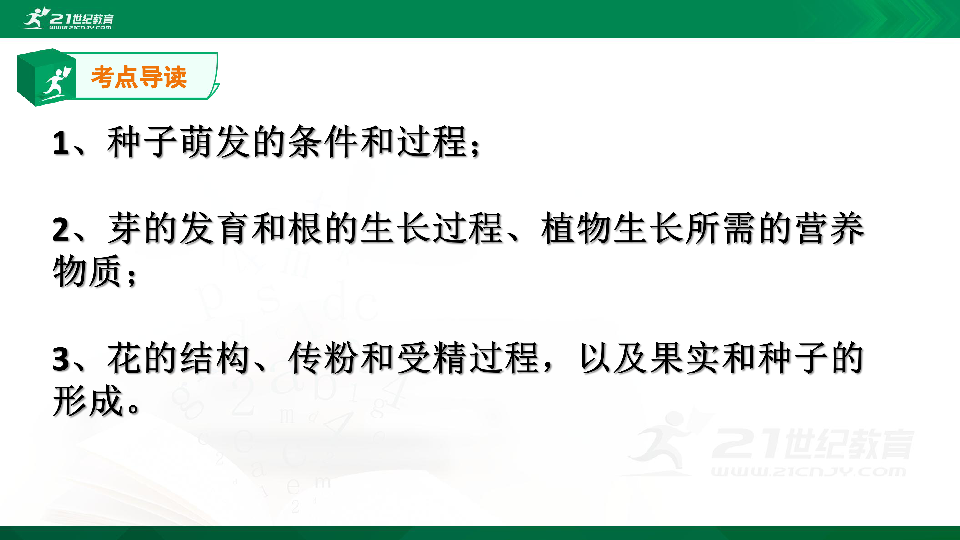 人教版初中生物总复习第一轮复习课件（六）被子植物的一生